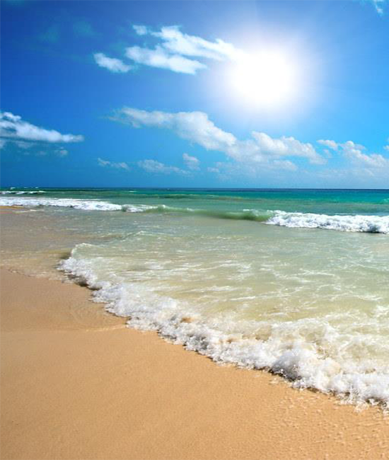 Ocean Rescue Tax Exemption-550x650