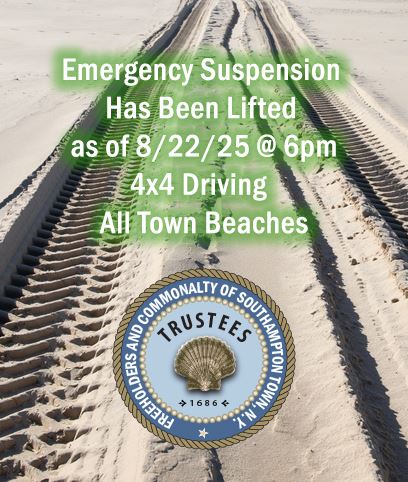 Emergency Suspension of 4x4 driving on all Town Beaches - Lifted